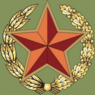Дисциплина: в армии Беларуси  в 2014 году – самые низкие криминологические показатели за всю историю Вооруженных Сил