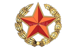 В Вооруженных Силах началась проверка боевой готовности войск