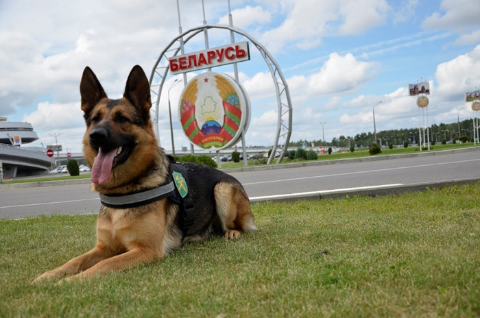 Годовой праздник ветеринарной службы Вооруженных Сил