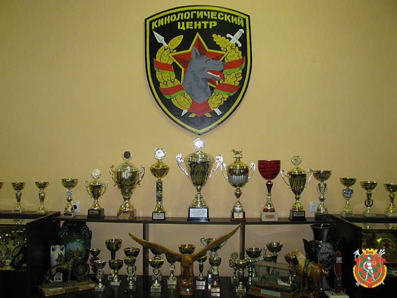 image013.jpg image013.jpg