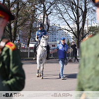 Состоялась первая тренировка конного расчета к параду