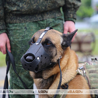 День Победы вместе с белорусскими военными 