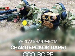 Снайперы. Работа в паре (Sniper Pair)