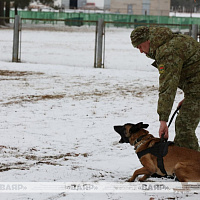 Foreign Military Attachés from 21 Countries Visited Border Guard Facilities on the Border with Lithuania