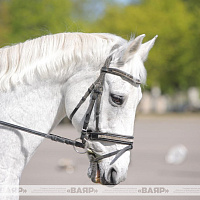 «Личный состав готов к проведению предстоящих генеральных репетиций и участию в параде»