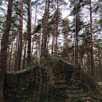 Готовность к выполнению задач