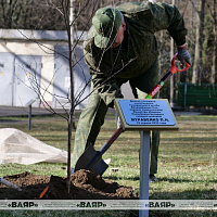 Белорусские военнослужащие традиционно принимают участие в республиканском субботнике