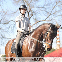 Состоялась первая тренировка конного расчета к параду