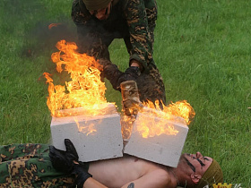xdjdve8gtrhzgqv1iopwm8mc3vardoom.jpg