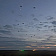 Военнослужащие 5-й отдельной бригады специального назначения совершили прыжки с парашютом ночью