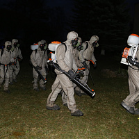 В целях профилактики COVID-19