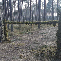 Тактическое учение с 38‑й Брестской отдельной гвардейской десантно-штурмовой бригадой