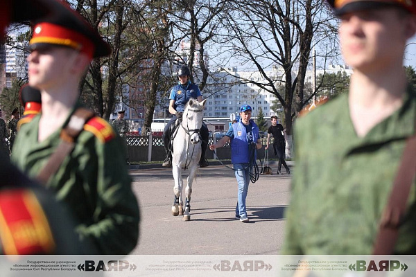Состоялась первая тренировка конного расчета к параду