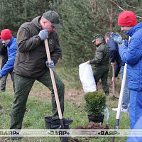 Военнослужащие Вооруженных Сил принимают участие в республиканском субботнике  (дополняется)
