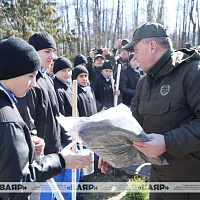 Белорусские военнослужащие традиционно принимают участие в республиканском субботнике