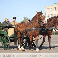 Состоялась первая тренировка конного расчета к параду